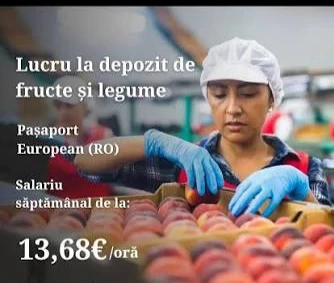 Avem nevoie  la sortat de fructe 