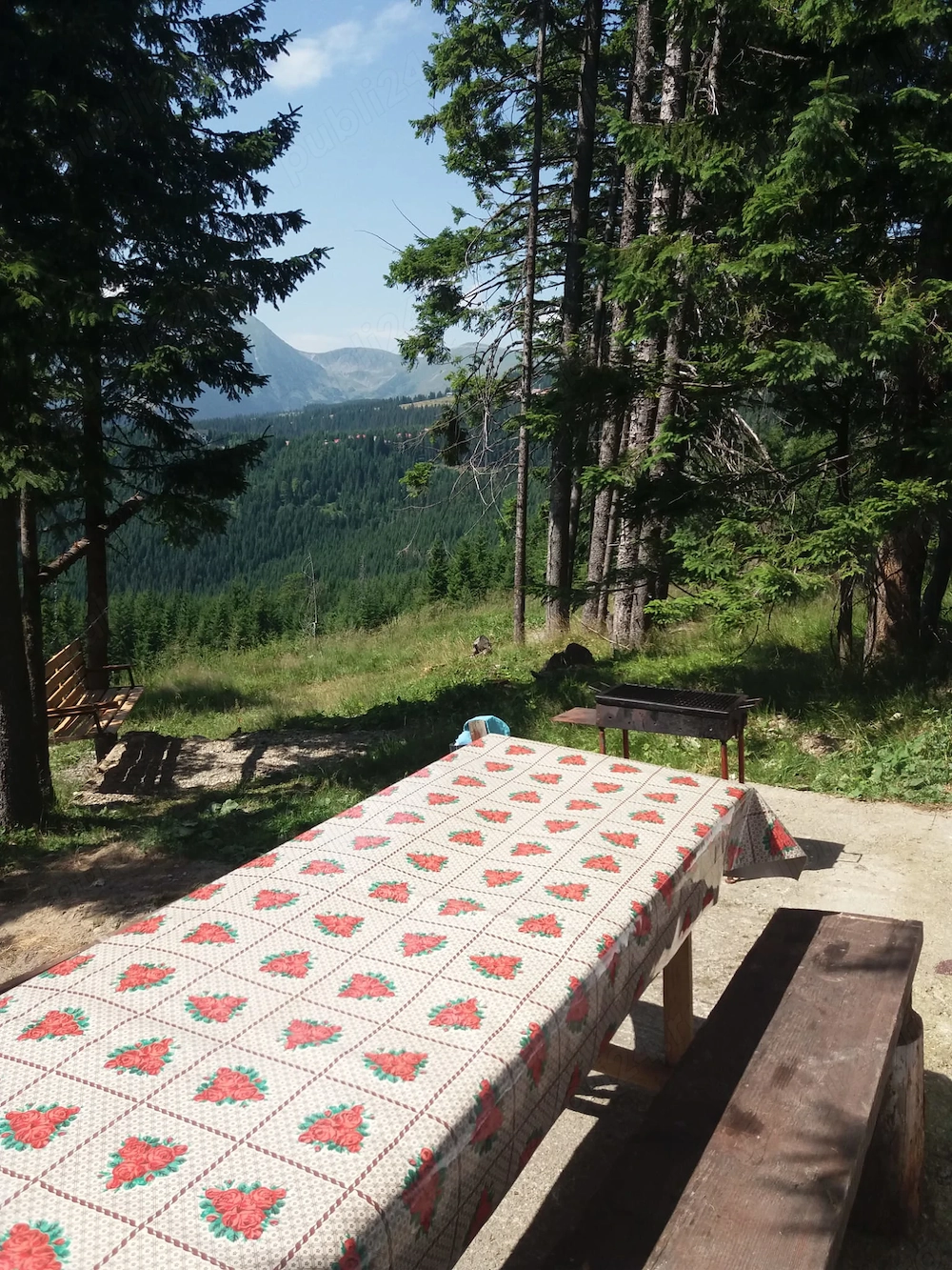 De vanzare cabana Ranca,Gorj