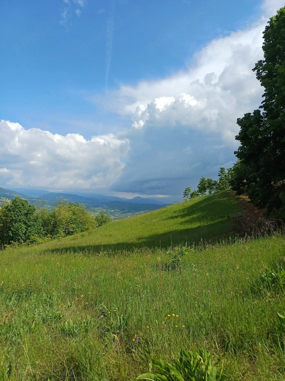 Teren de vânzare Roșia, Bihor 