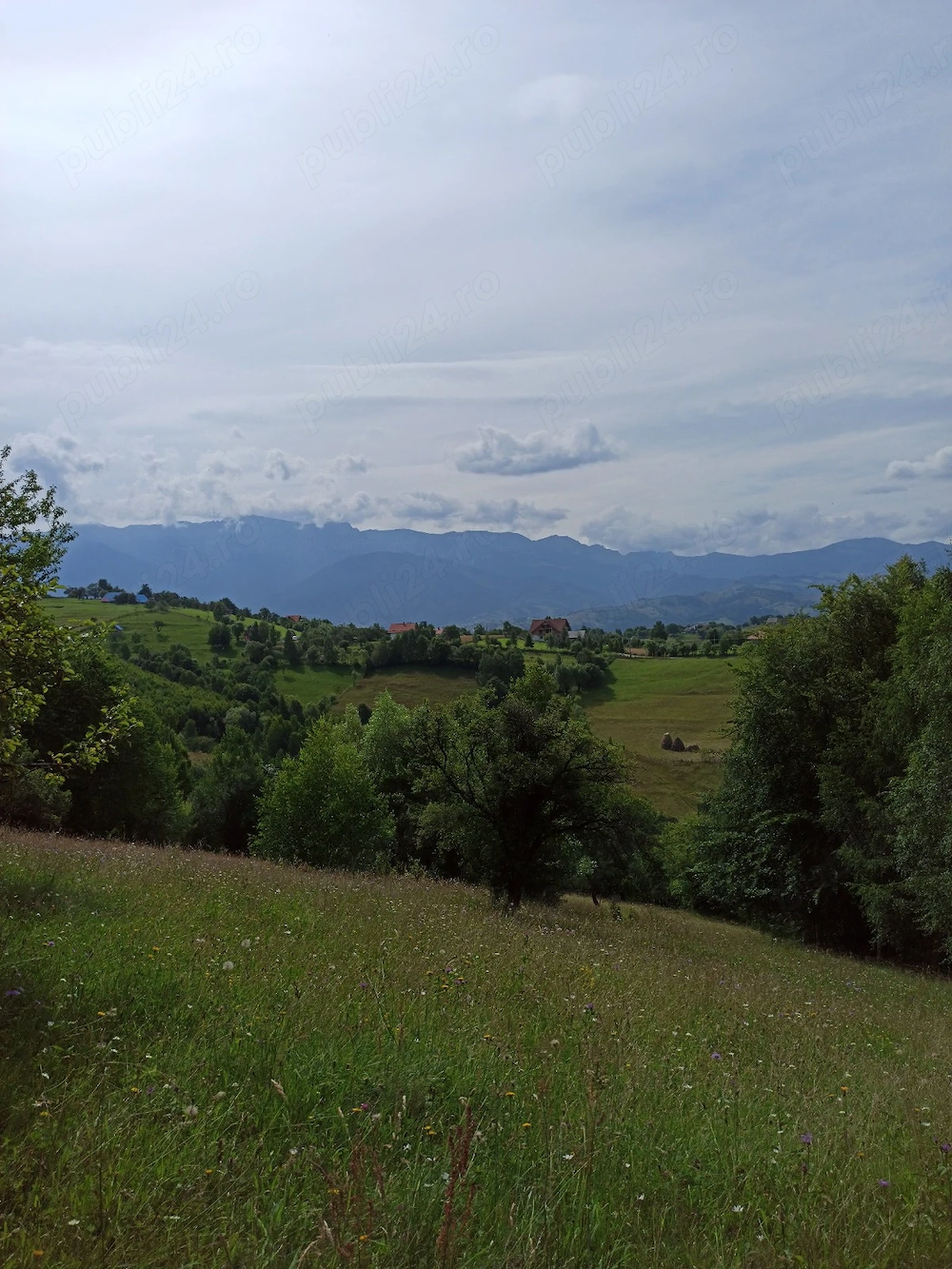Teren Măgura(Moieciu)