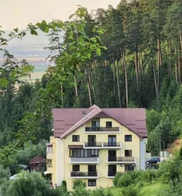Apartament in natura in zona nepoluata,  Coasta Vie Sacele Cernatu