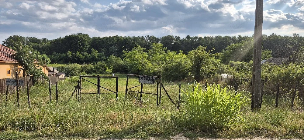 Vand teren in Mogosesti, Olt
