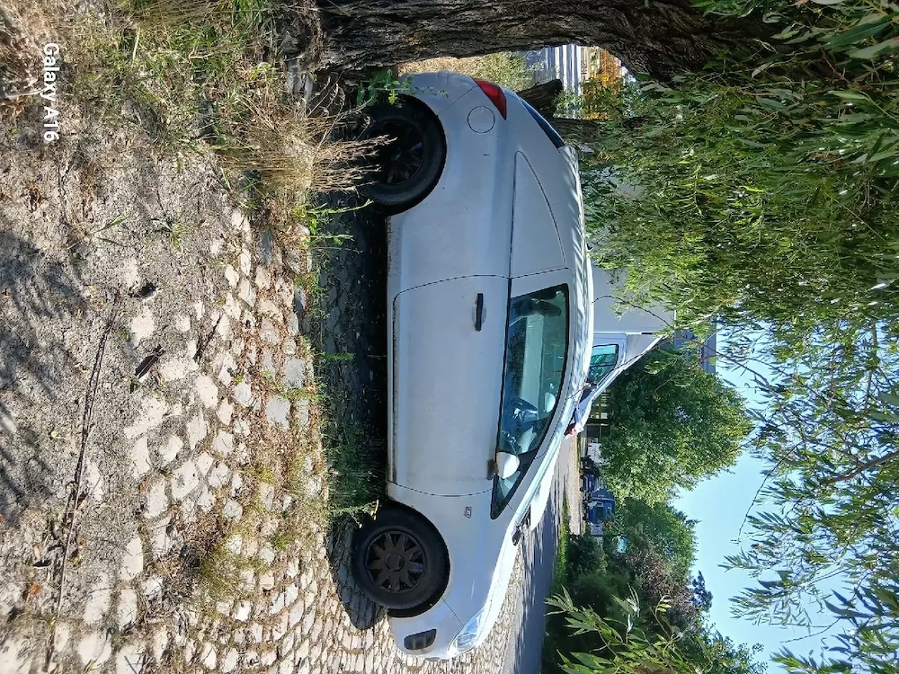 vanzari auto