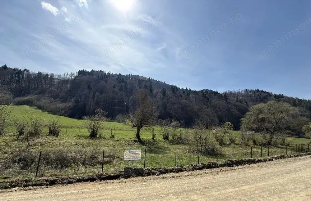 Teren Extravilan Zizin/Tarlungeni 7300 mp