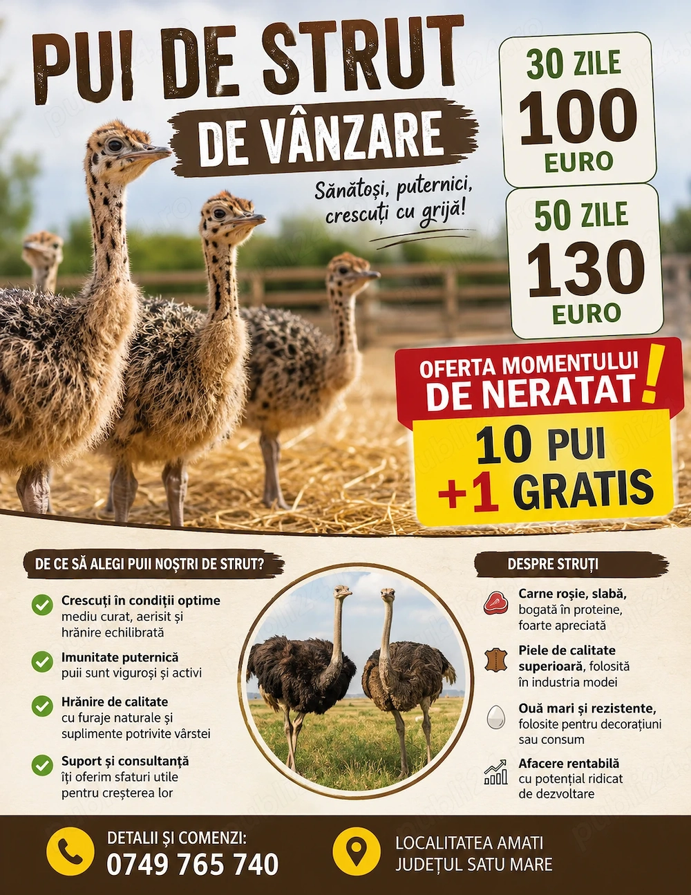 Struti sanatosi de vanzare 