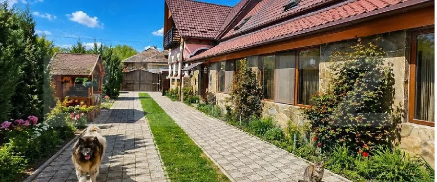 Conac modern cu saună, ciubăr și seră, 1.500 mp grădină – sat Dridif
