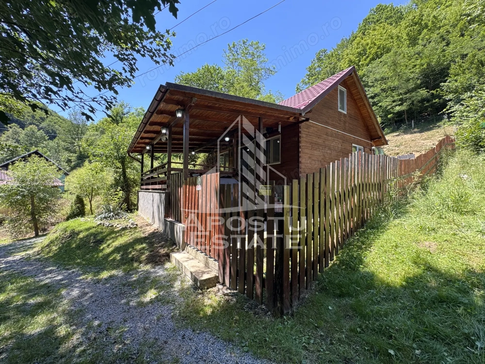 Casa din lemn, zona muntoasa, cu rau, la cheie, Ribita, Hunedoara