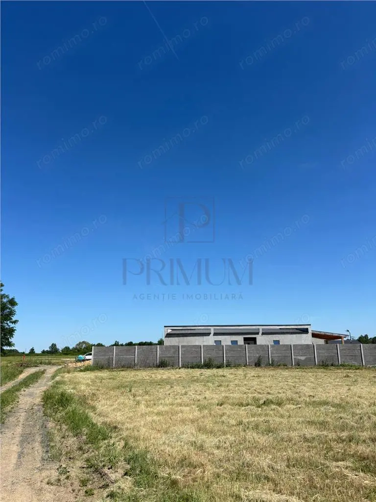 Teren- MOSNITA NOUA- DOUA FRONTURI STRADALE