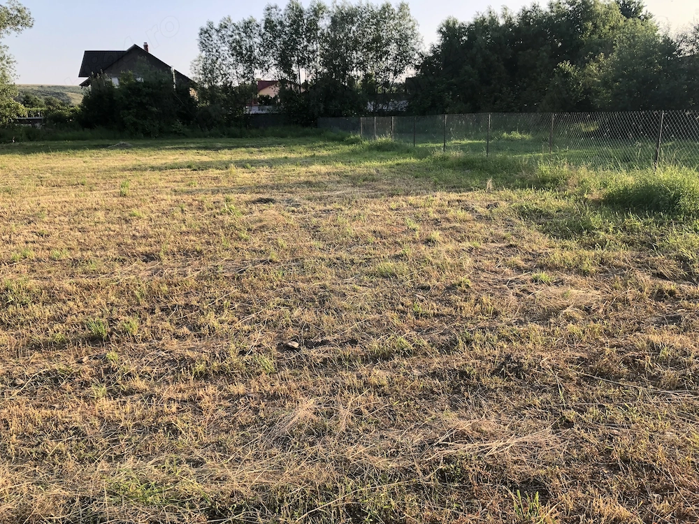 Teren de vanzare