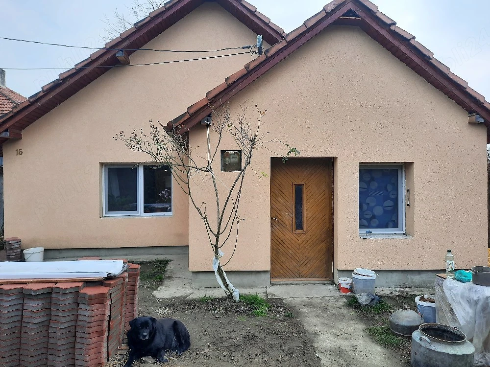 vânzare casă+teren