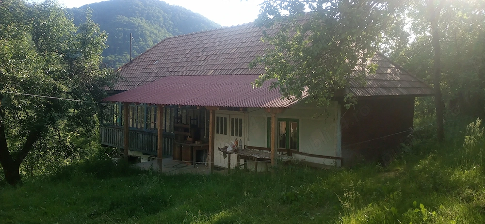 Casa la munte de inchiriat in Apuseni, peisaj natural rustic, jud.Alba