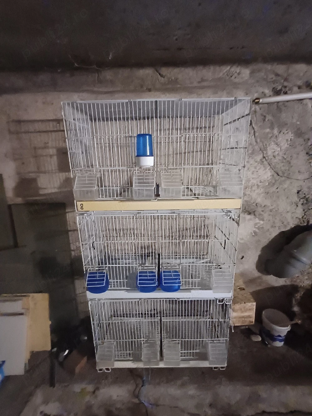 cova503 colivie