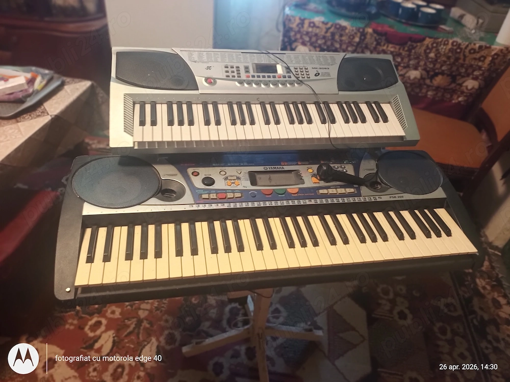 Instrumente muzicale 