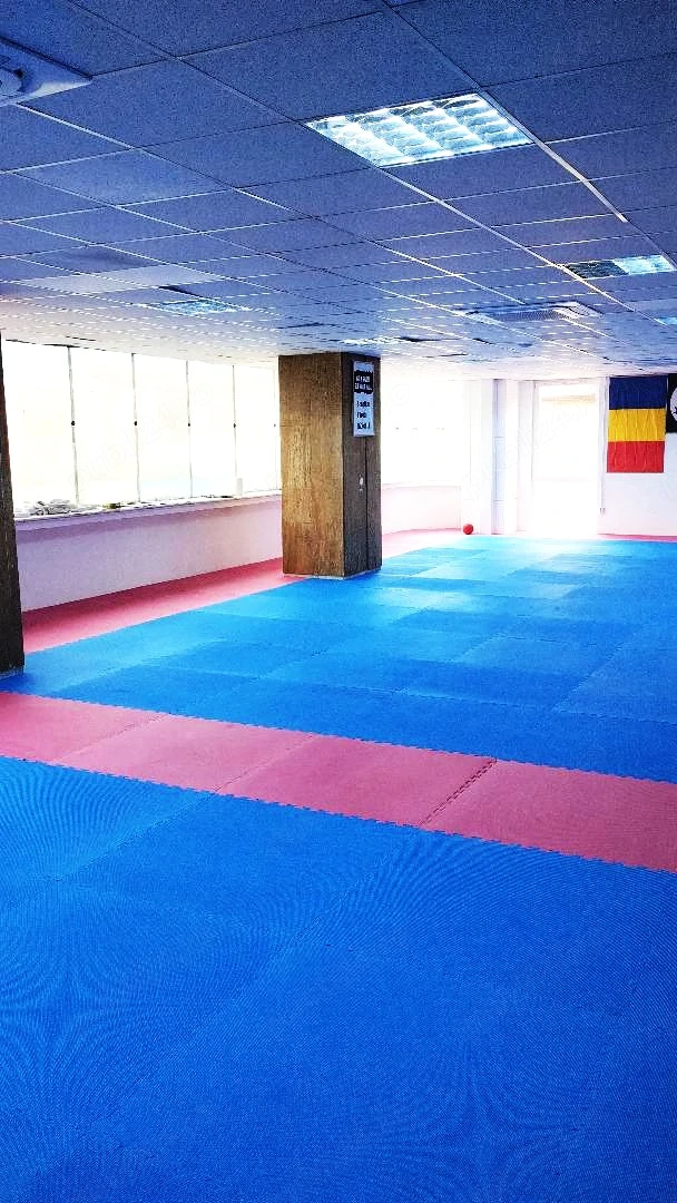Inchiriez intervale orare pentru arte martiale,yoga,aerobic,gimnastica,etc