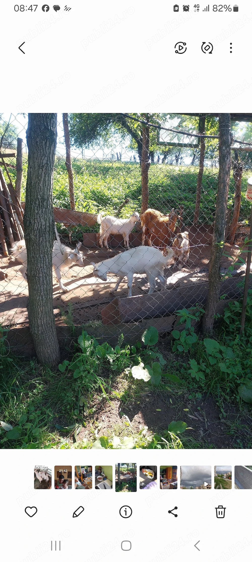 Iezi de vânzare 