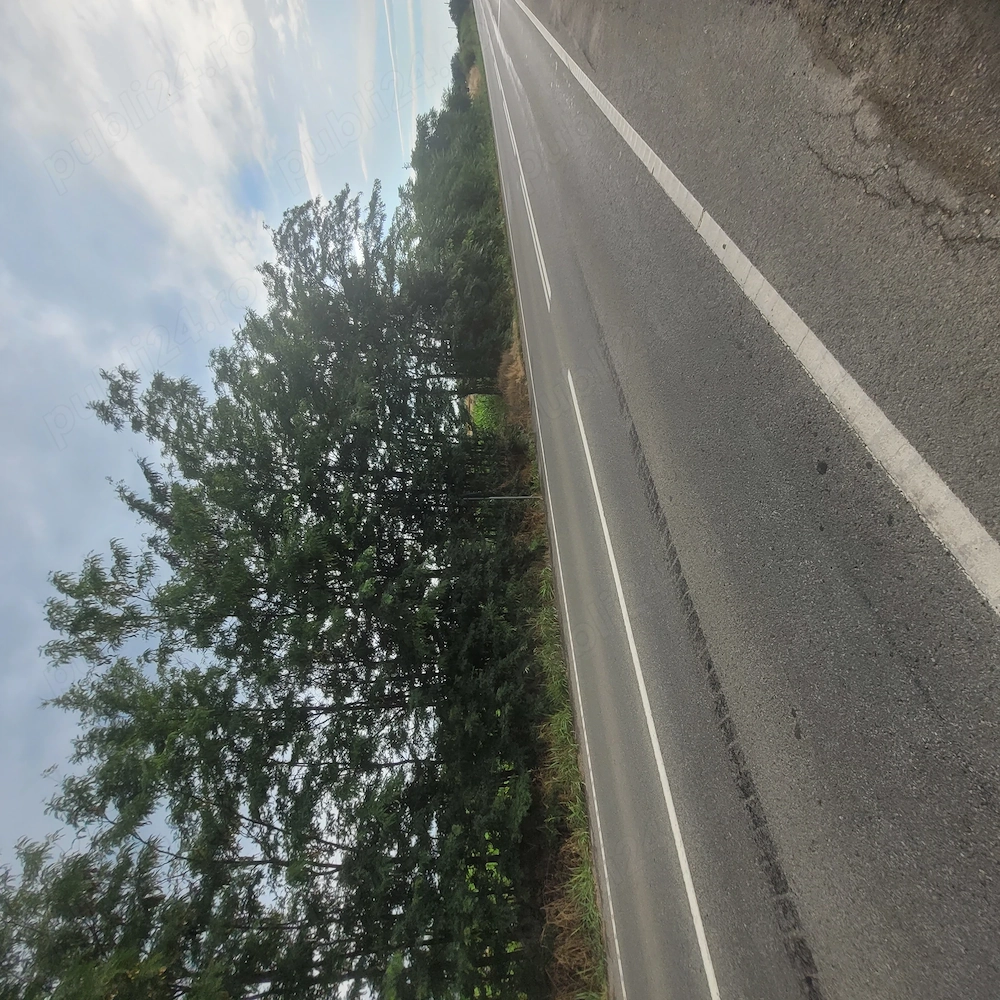 Proprietar   Vând Teren Intravilan 2500 mp, Golenți (Dolj)   Stradă Principală