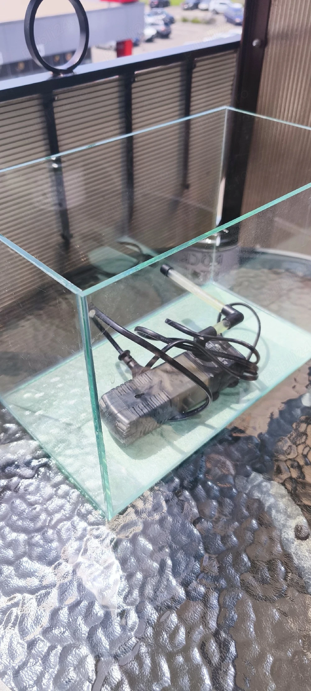 acvariu pești reptile amfibieni 10 l
