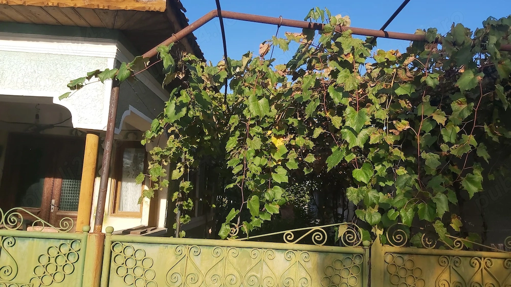 Casă bătrânească comuna Runcu 