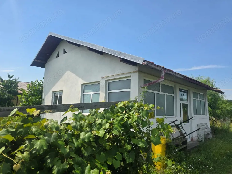 Proprietate în comuna Vedea, teren = 4200 mp