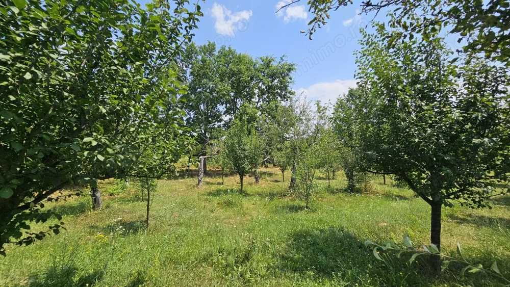 Teren lângă pădure Băicoi | 480 mp | D-32 ml | Zonă vile noi