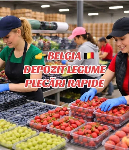 Angajăm în belgia urgent cupluri