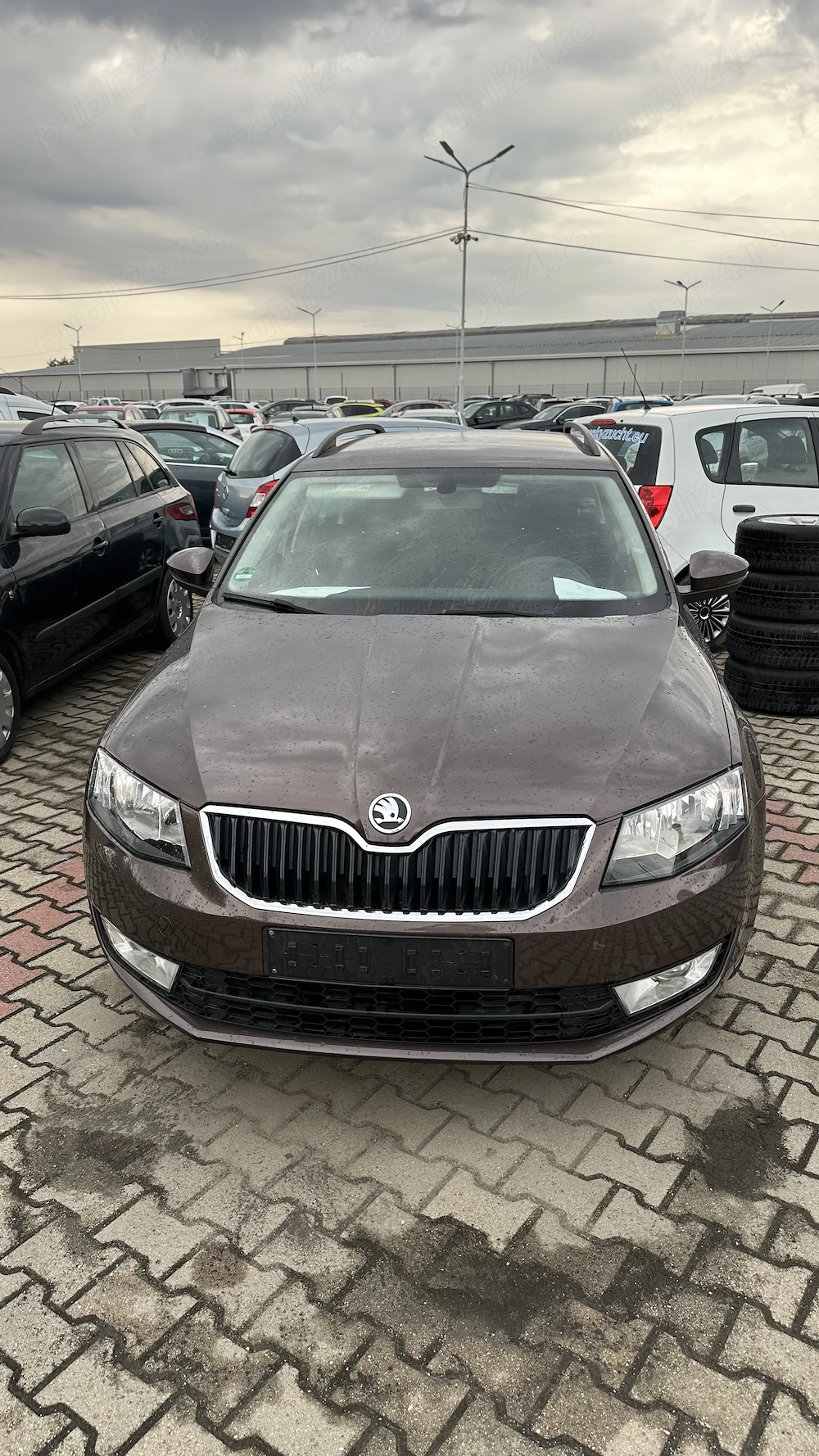 Vand Skoda Octavia