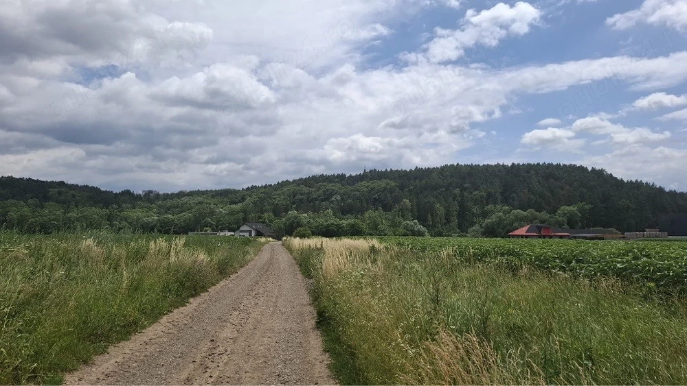 Teren de vanzare intr o zona linistita