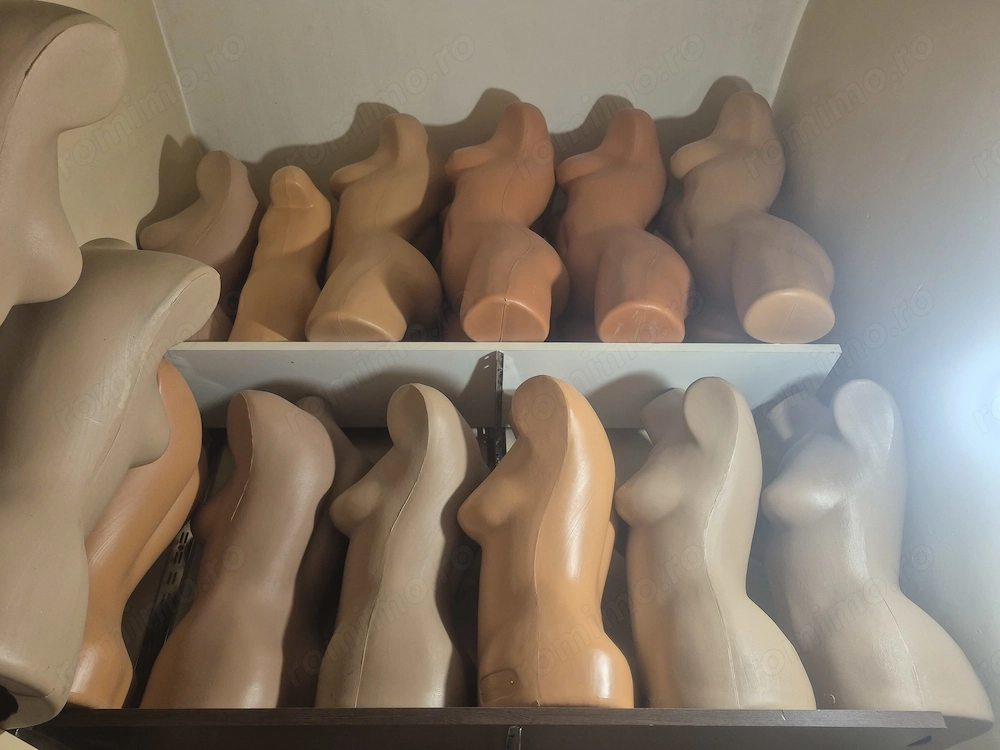 Manechine busturi 