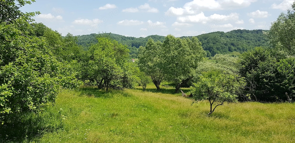 29.000mp lângă Curtea de Argeș, 2 căsuțe, curent electric și apă rețea