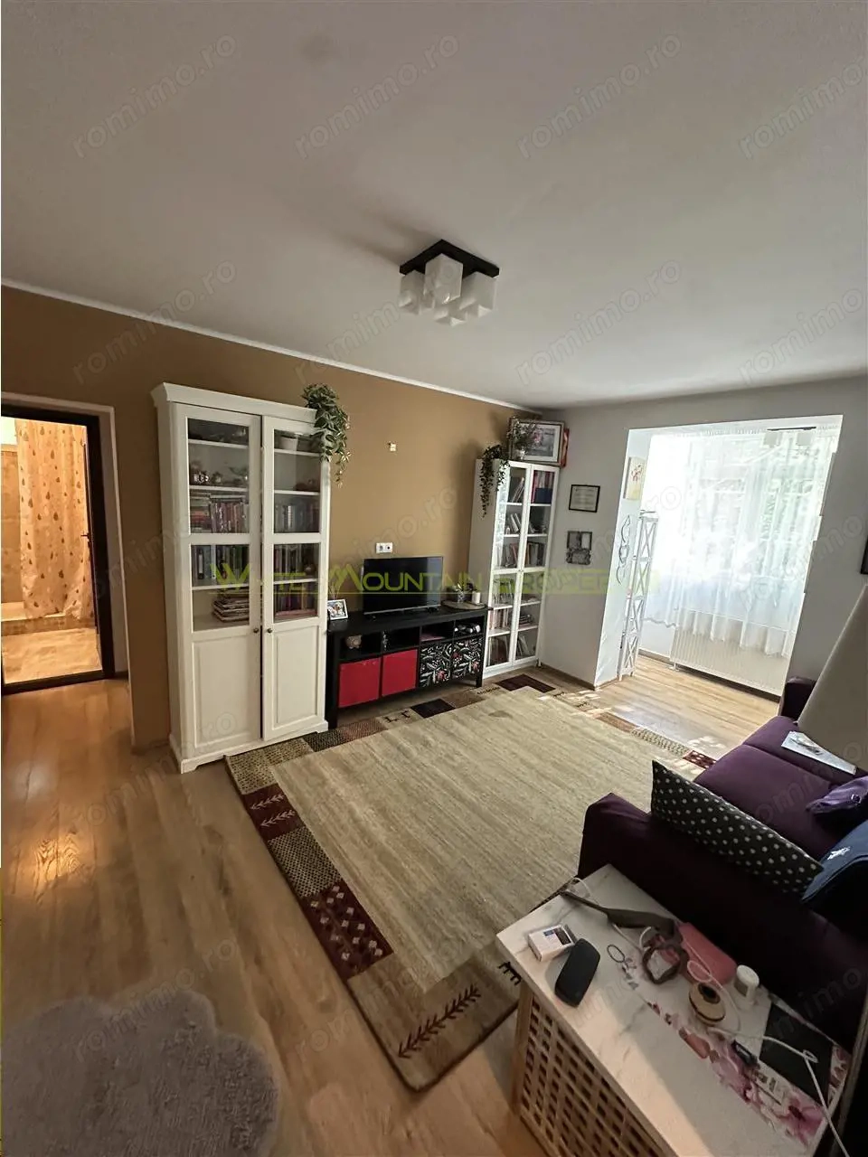Apartament 2 camere de  #238;nchiriat, Costin Georgian