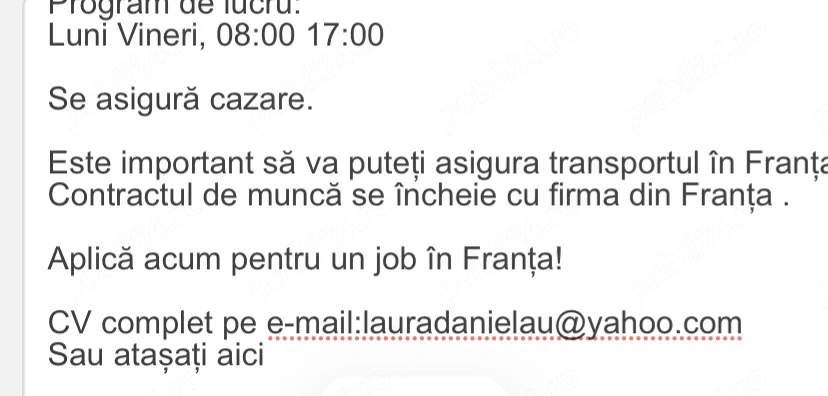 Muncitori Izolatii_Montaj Schele_Franta