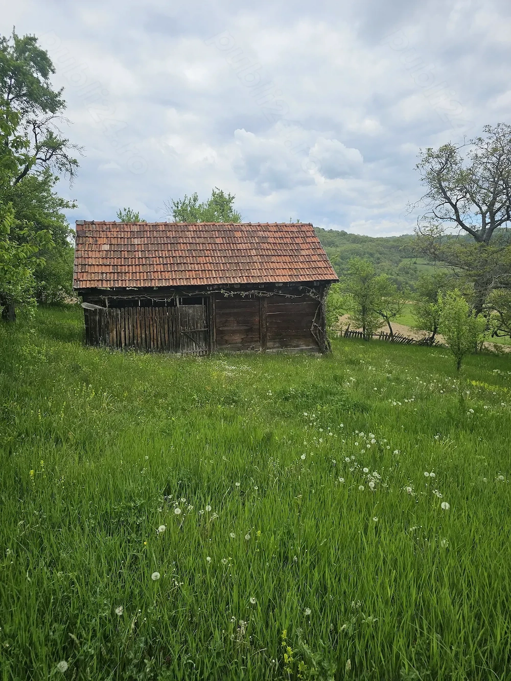 Sălaș+ livadă+ teren agricol în Sichevița- Clisura Dunării