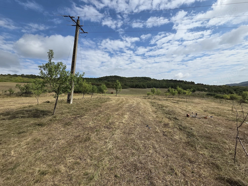 Teren extravilan de vanzare   Pintic-Podul Ocnei (loc. componenta a municipiului Dej), jud. Cluj