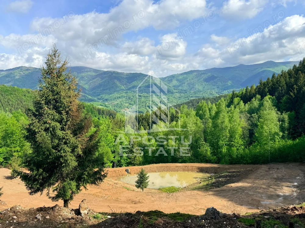Oportunitate! Domeniu montan, cu lac propriu, oras Lupeni, Hunedoara