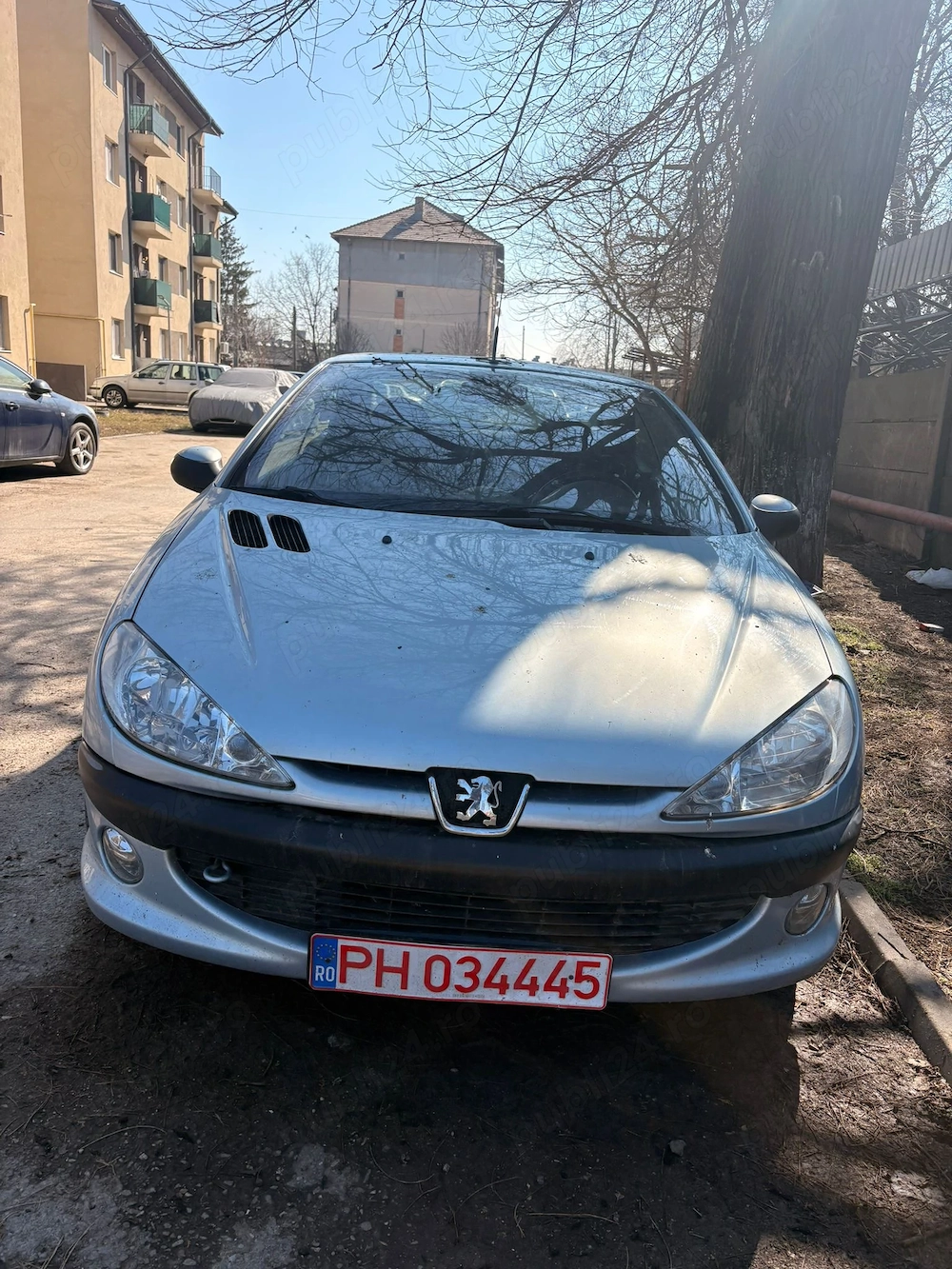 Peugeot 206 Cc decapotabil 