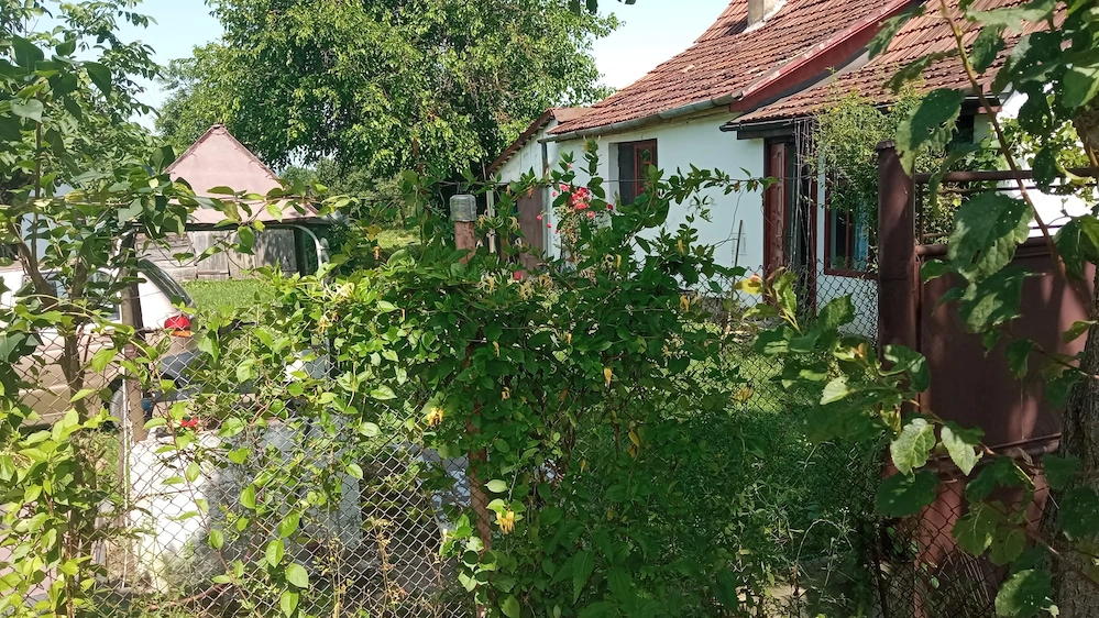 Vand casa Valea Muresului, sat Lalasint