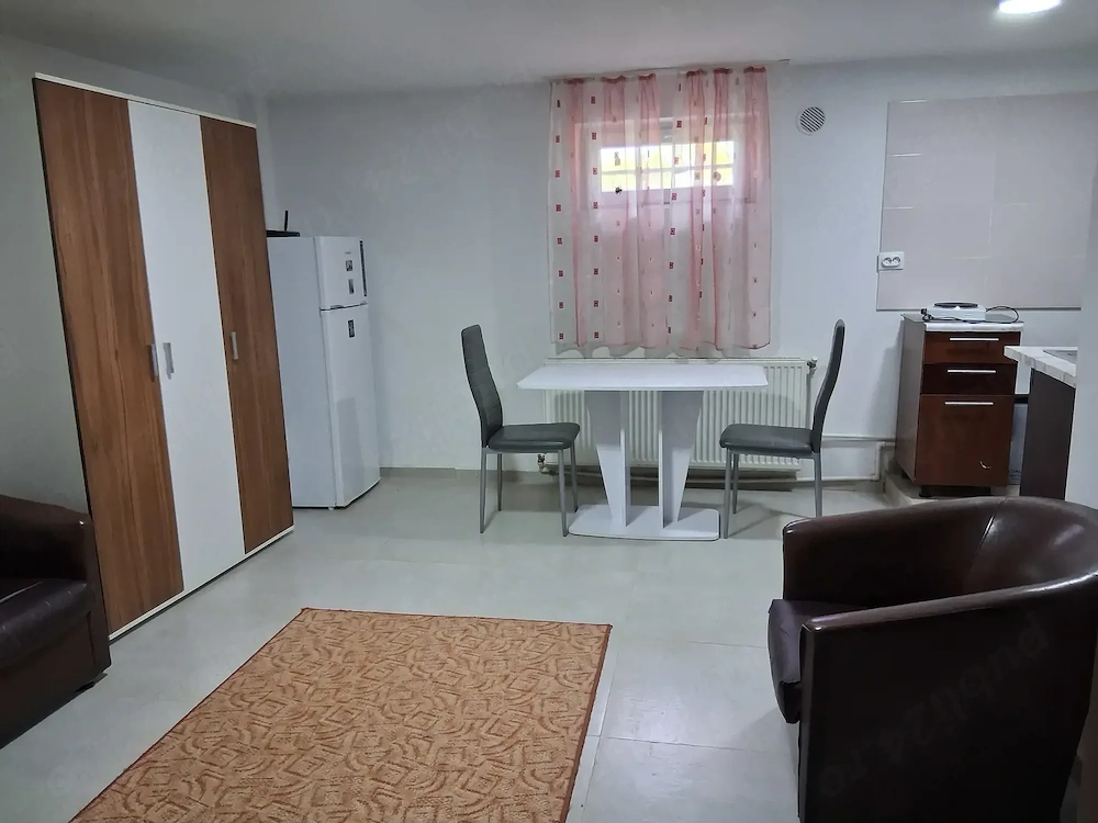 Dau in chirie garsoniera Borhanci