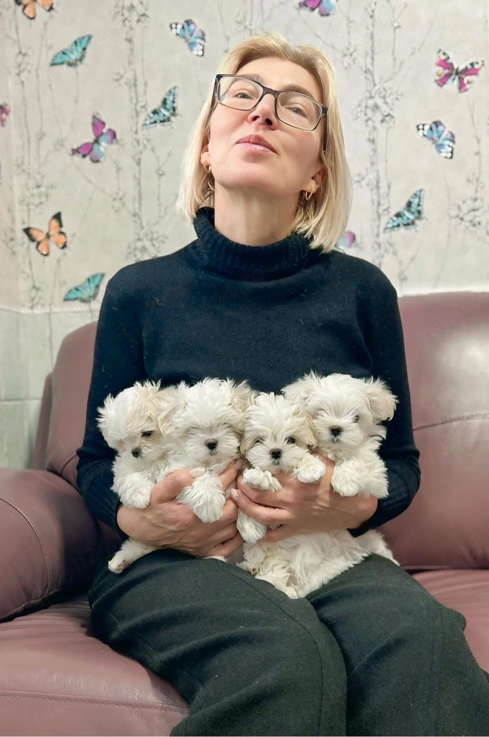 Bichon Maltese Mini toy