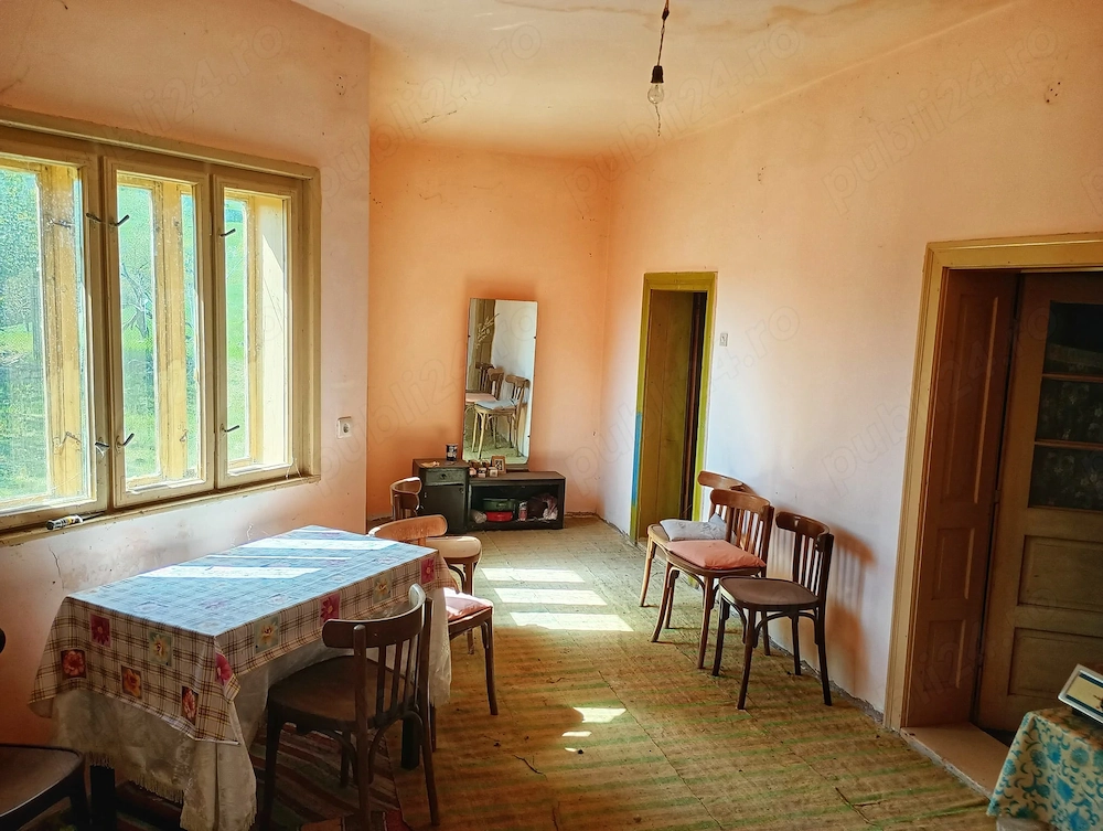 Casa cu gradina de vânzare 