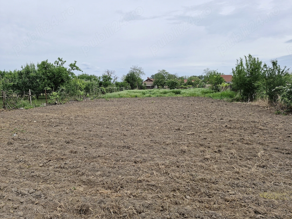 Teren de vanzare - 2570 mp curti-constructii Sanpaul, Arad