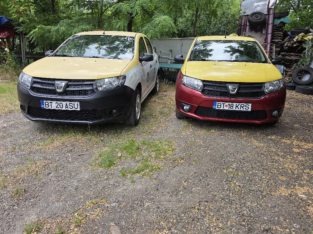 Angajez sofer Taxi în Botosani