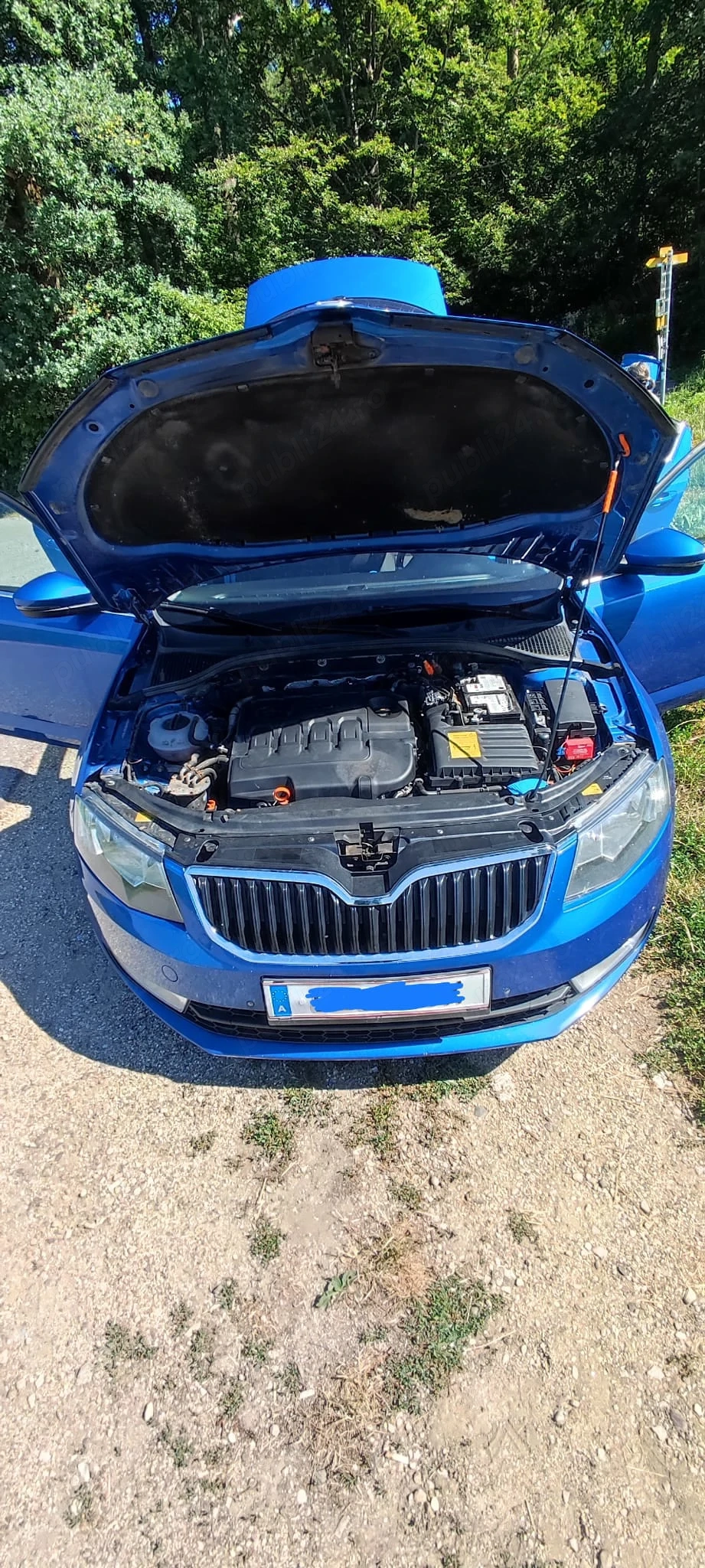Vand Skoda Octavia