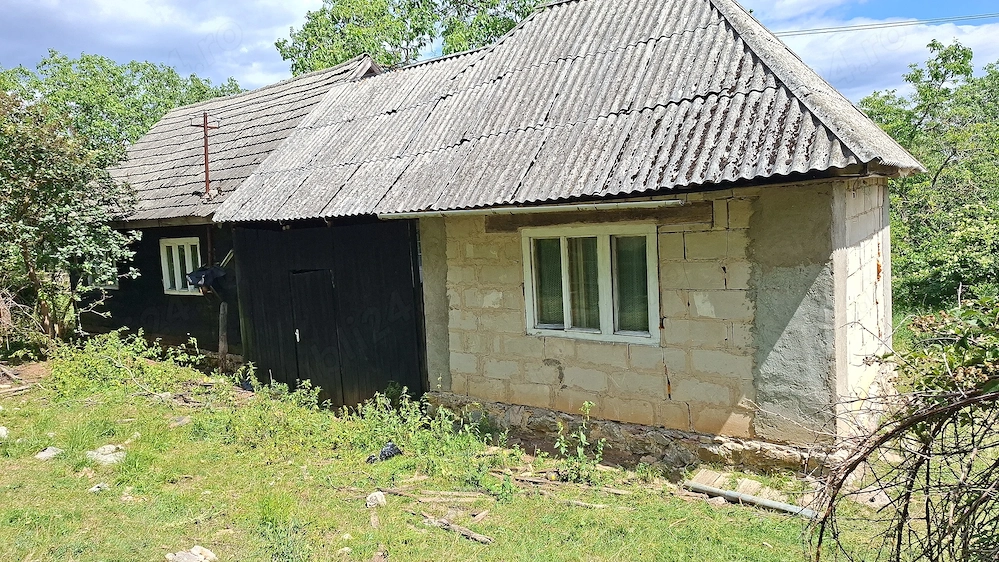 Vând casă cu  2,8 hectare de teren