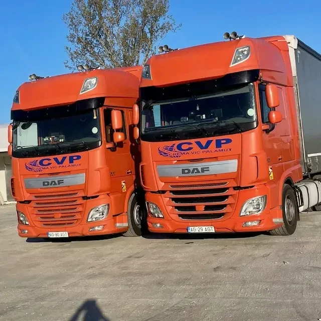 soferi profesionisti cat C+E. pentru curse tur-retur