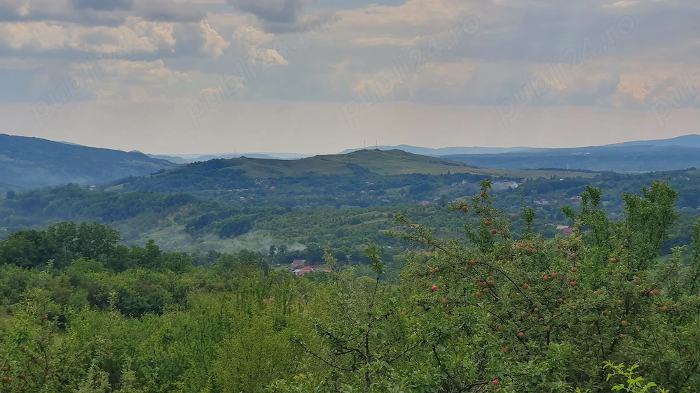 Teren intravilan cu livada - 9.000 mp, sat Ogretin, comuna Drajna