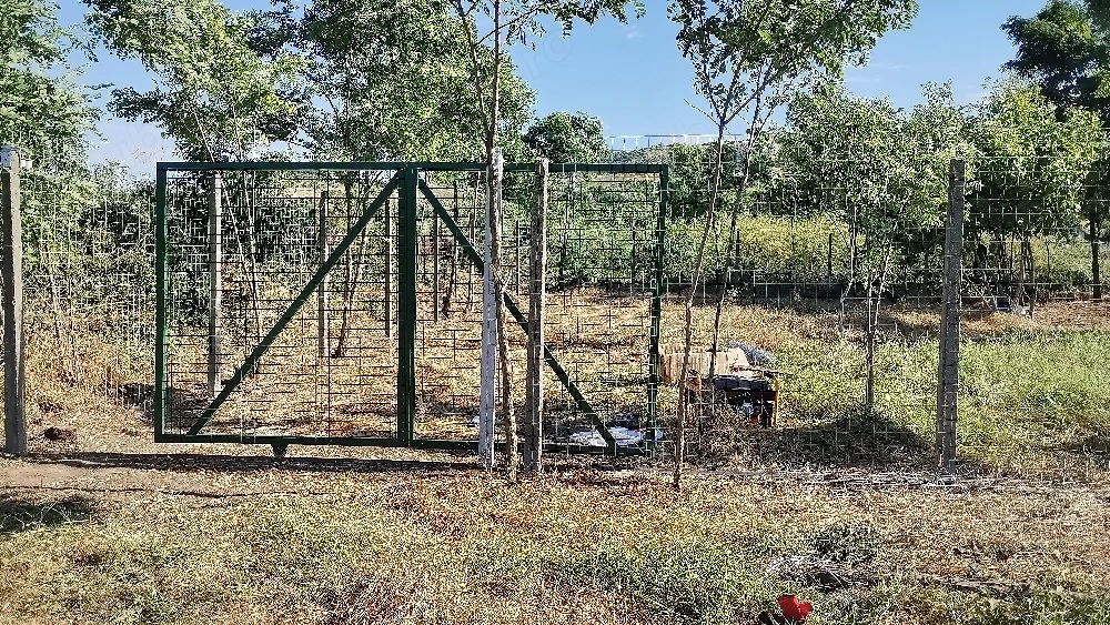 400mp teren extravilan in sat Victoria ( Nufaru) Tulcea