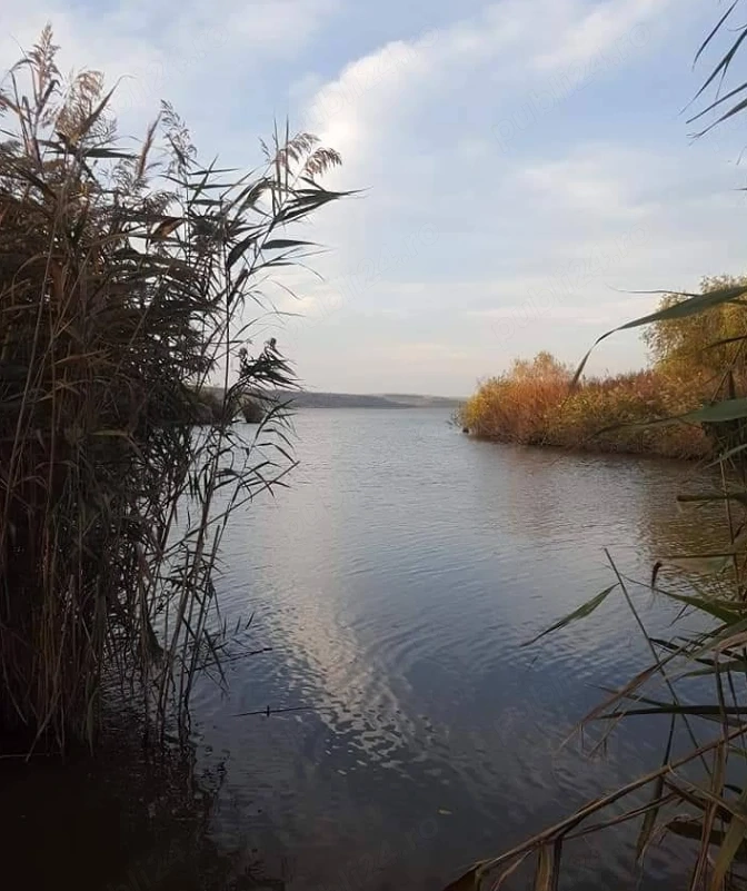 Teren luciu de apa 4.5 ha Carja-Murgeni-Vaslui
