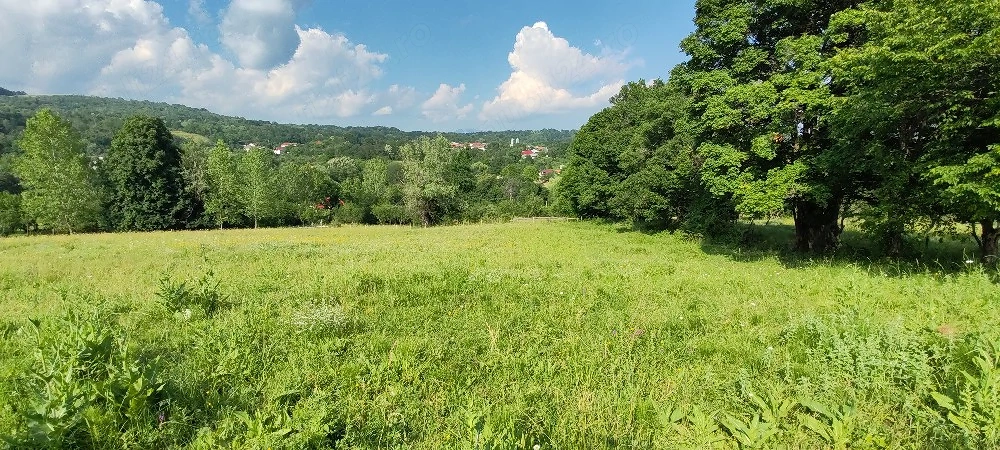 EXCLUSIV! Teren intravilan 5.523 mp Vaideeni Horezu.78 m deschidere. Utilități. Preț atractiv! Opo