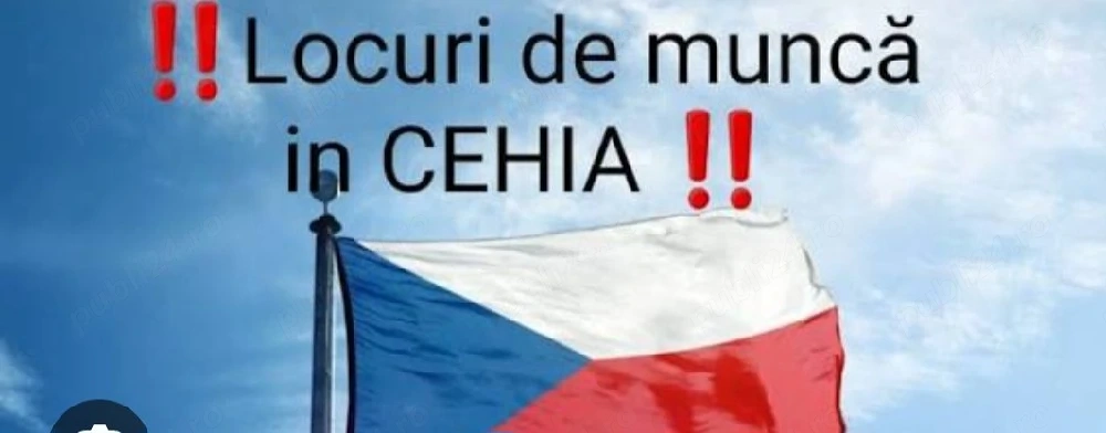 se lucreaza in cehia cu forme legale