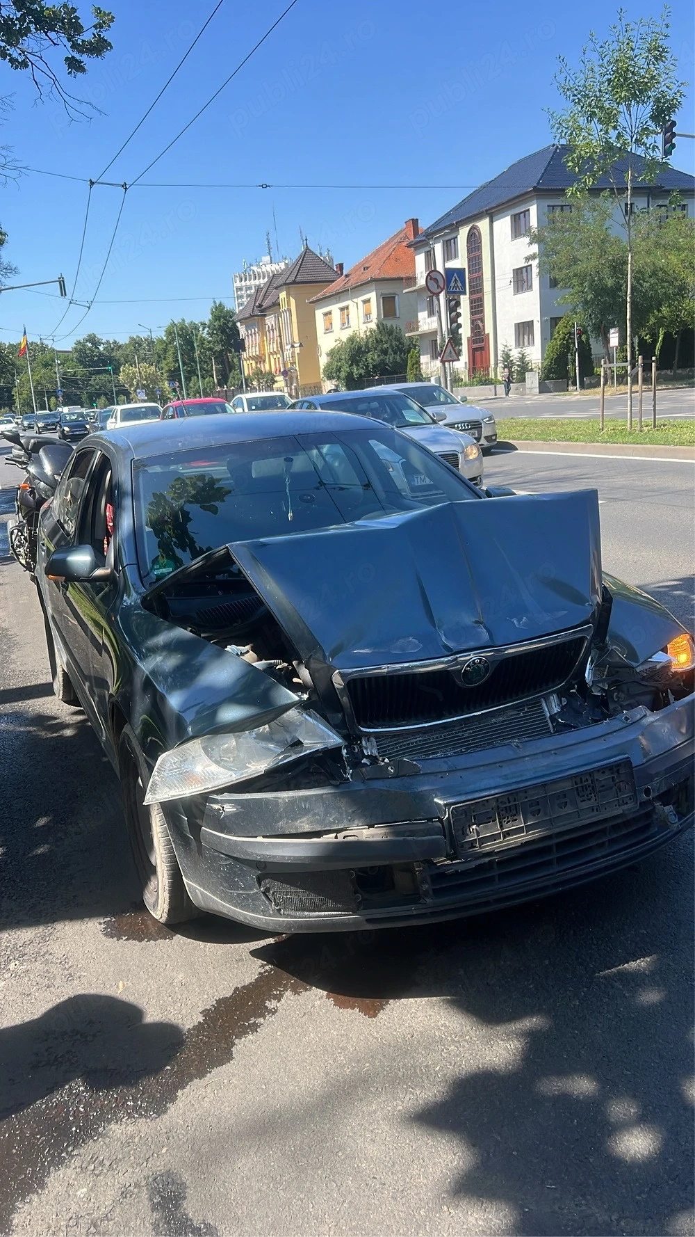 Vand Skoda Oktavia
